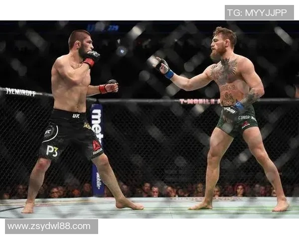 哈比布与康纳精彩对决集锦回顾终极格斗的巅峰对抗与传奇瞬间