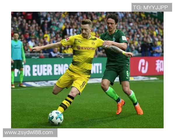 多特蒙德与不来梅精彩对决直播全程回顾与分析